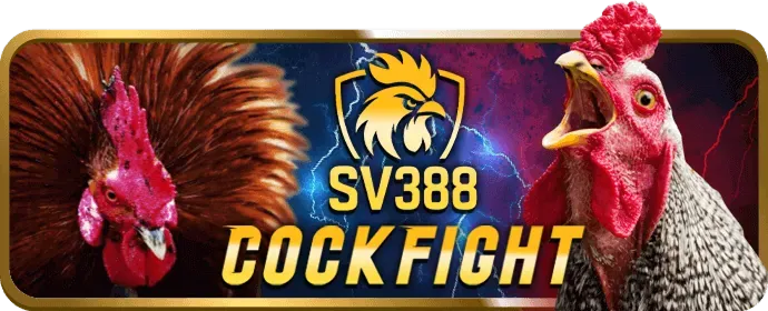 Hỗ trợ đối tác fve88