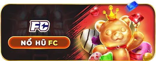 Hotline hỗ trợ FVE88
